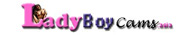 Live Ladyboy Cams